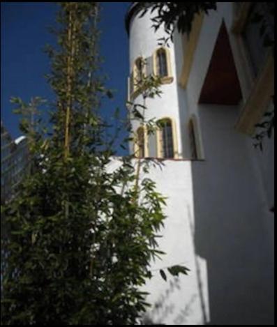 Welcome To Casa Viva Mexico 3-Bedrooms 2-Bathroms 6-Guests Close To Shoping Center & Beach Tijuana Esterno foto